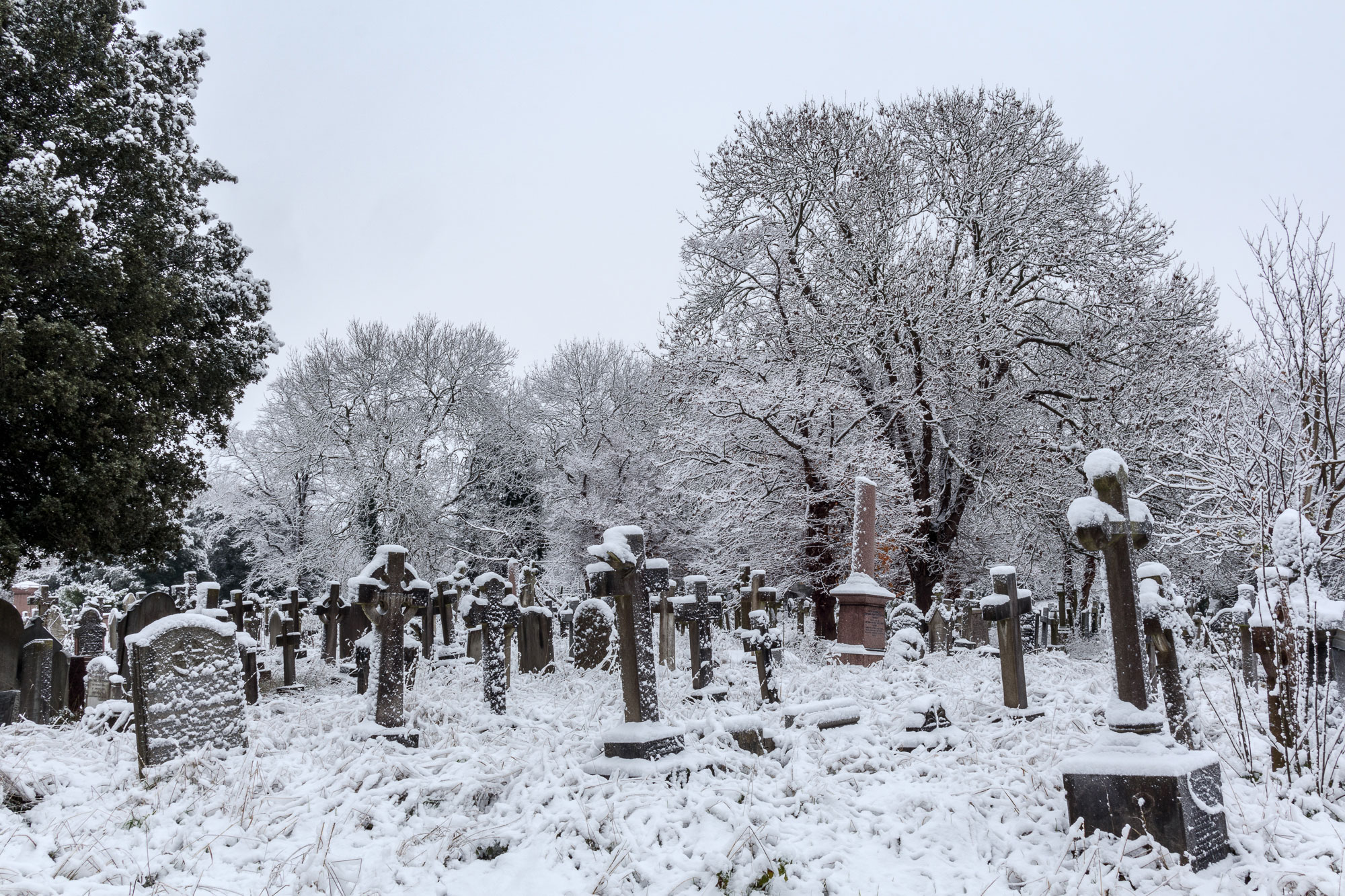 | Rbarr West Norwood Cemetery