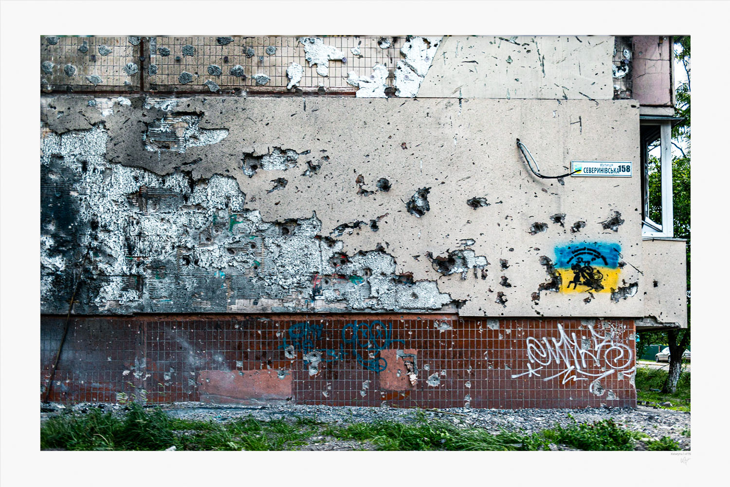 Bearing Gifts - Limited Edition Fine Art Print | Rbarr