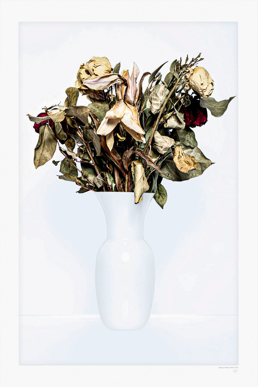 Spring is Nearly Here - Limited Edition Fine Art Print | RBarr