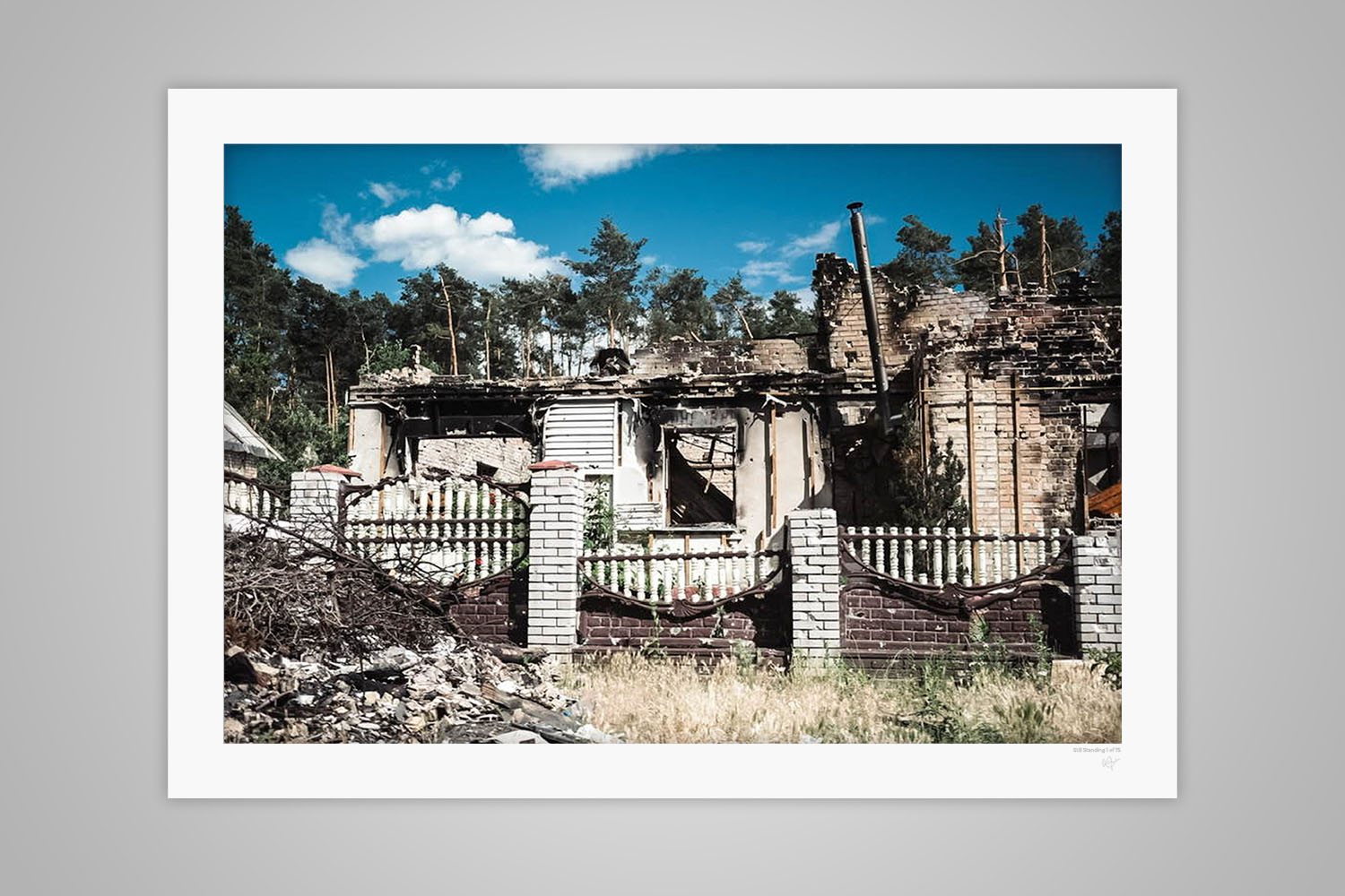 Still Standing - Limited Edition Fine Art Print | RBarr