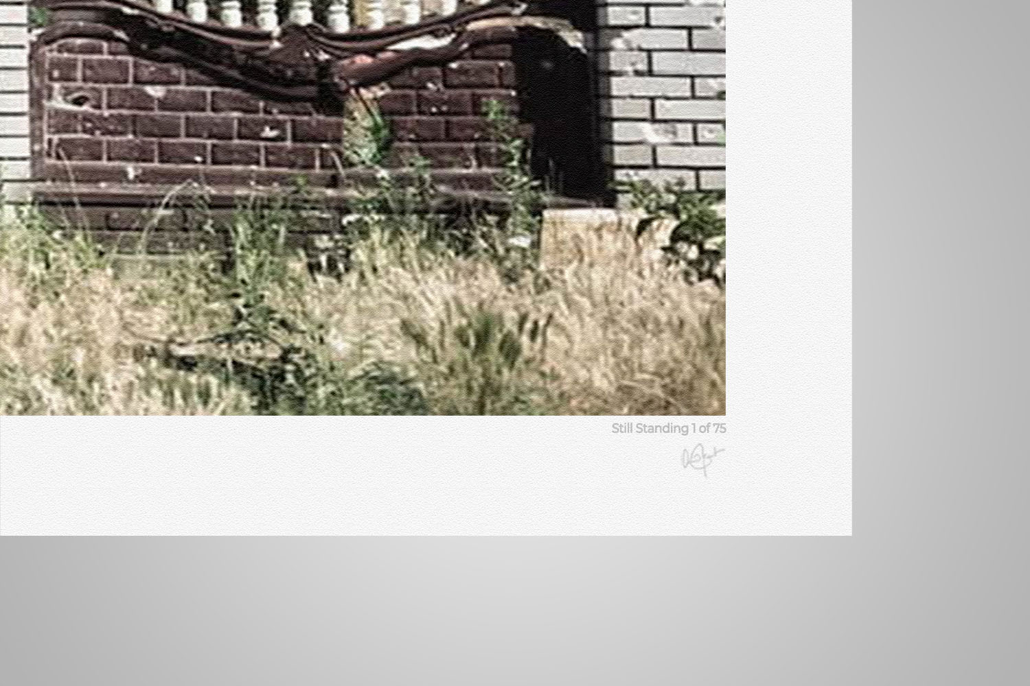 Still Standing - Limited Edition Fine Art Print | RBarr