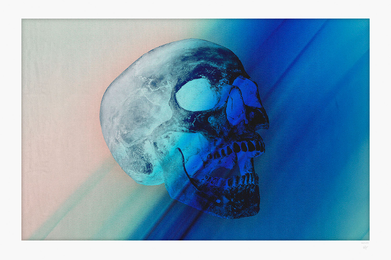 Skull - Limited Edition Print